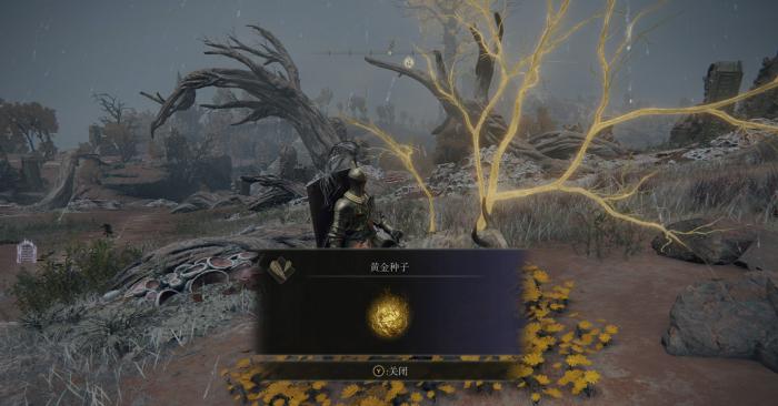 艾尔登法环如何全收集1