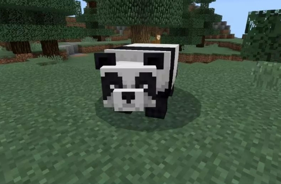 我的世界大熊猫有啥用1