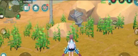 创造与魔法黄豆在哪里可以找到1