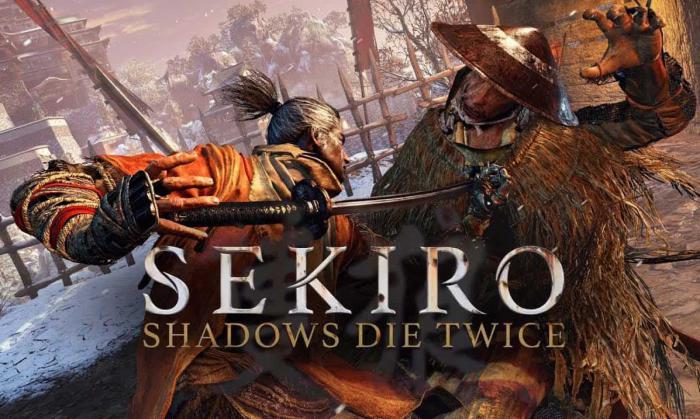 只狼仙峰寺走法介绍2