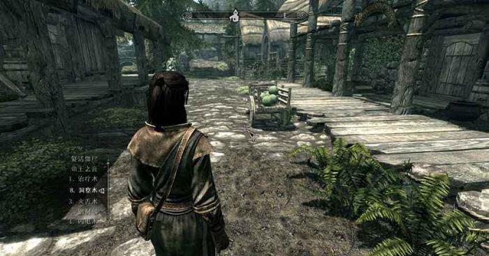 上古卷轴5偷窃详细升级方法介绍1