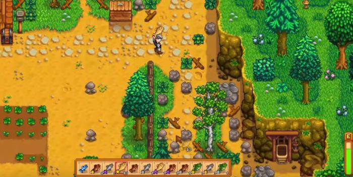 星露谷物语SvE边境农场有哪些特殊区域1