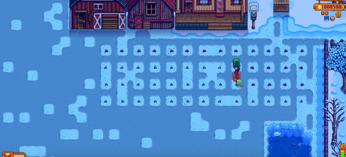 星露谷物语第一年冬天怎么玩3