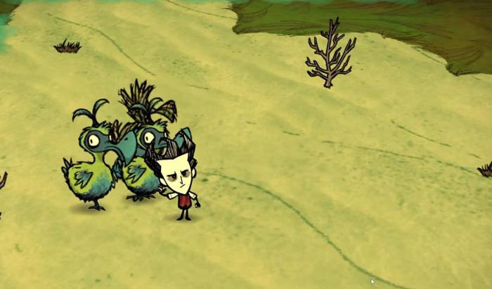 饥荒渡渡鸟有什么特性3