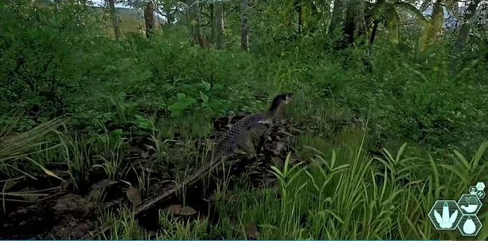 恐龙岛肿头龙前期怎么玩2