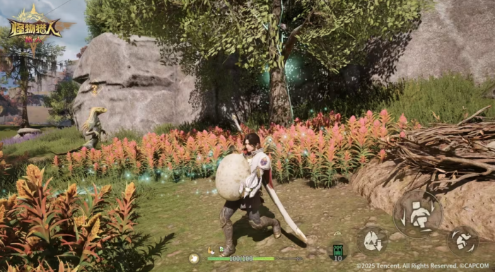 怪物猎人旅人追翼夺宝怎么玩3