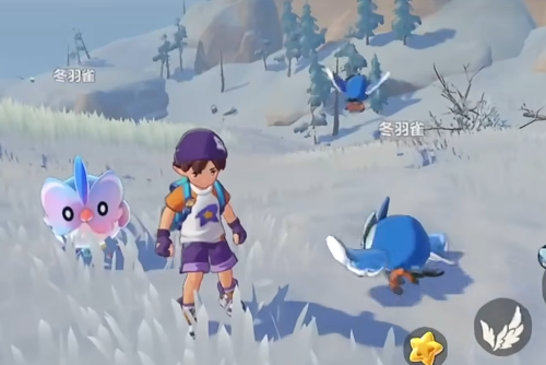 洛克王国世界冬羽雀多少级进化4
