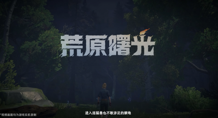 荒原曙光是单机游戏吗1