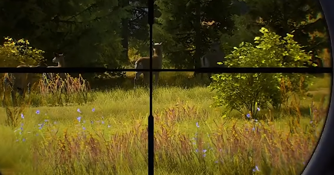 猎人之路有哪些动物2