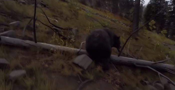 猎人之路打动物什么位置好打3