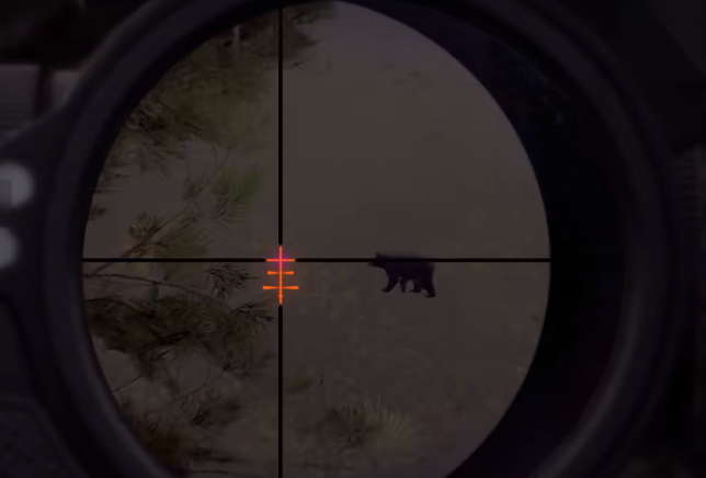 光隙解语千石城捉迷藏第四次通关攻略4