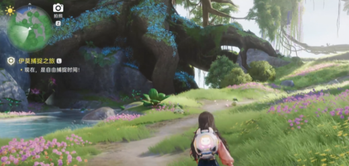 伊莫花舞兰怎么样1