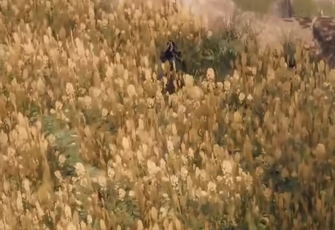 下一站江湖2攻略大全1