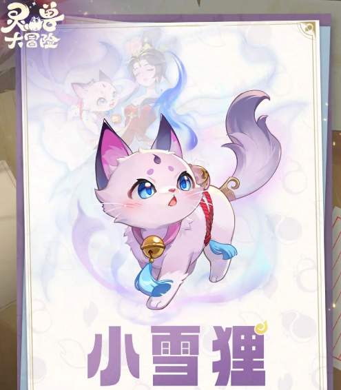 灵兽大冒险雪狸怎么样5