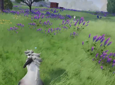 伊莫星落林宠物怎么抓3