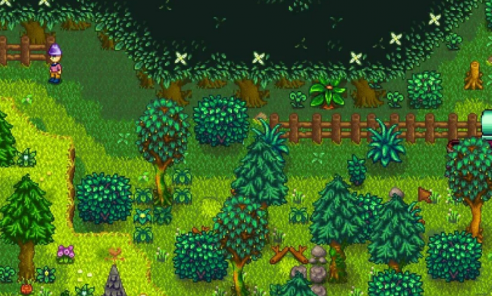 星露谷物语隐藏区域有哪些1