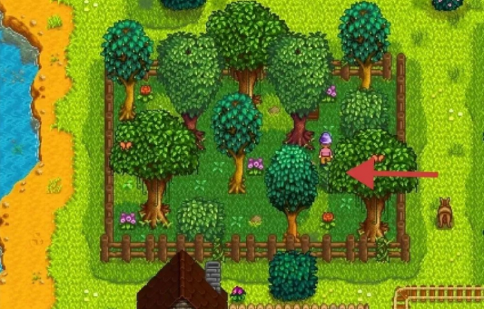 星露谷物语隐藏区域有哪些2