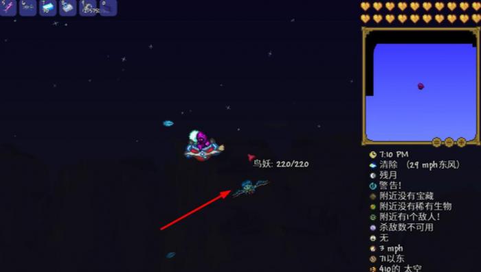 泰拉瑞亚鸟妖怎么打1