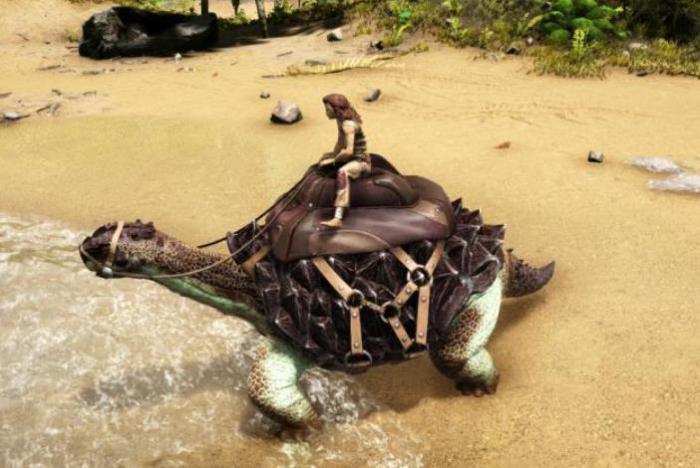 方舟生存进化如何驯服淡水碳龟1