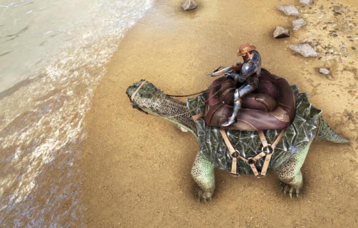 方舟生存进化如何驯服淡水碳龟3