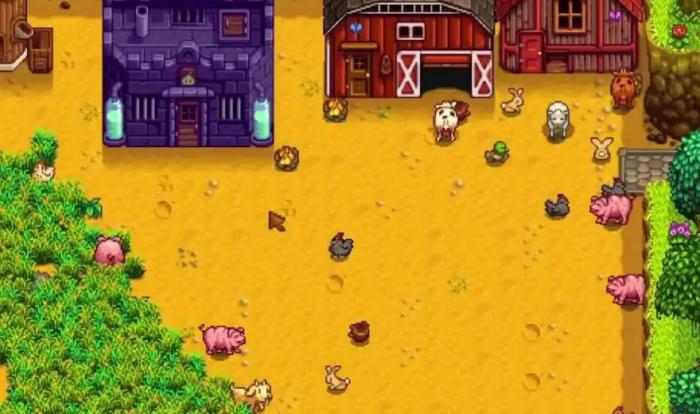 星露谷物语鸡有哪些种类可以获取1