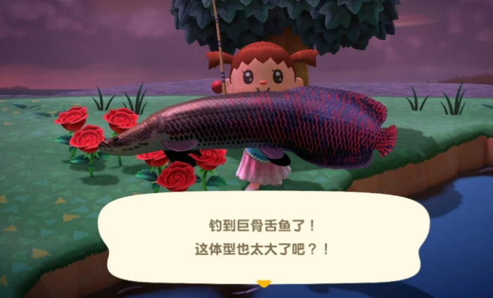 动物森友会大鱼岛怎么玩2