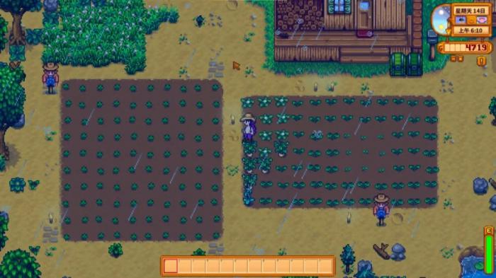 星露谷物语第二年什么时候下雨_星露谷物语第二年节日还要参加吗