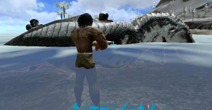 方舟生存进化萌新生存技巧是什么2