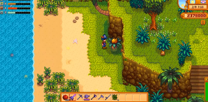 星露谷物语姜岛金核桃任务如何完成_星露谷物语姜岛金核桃位置