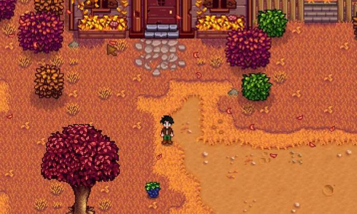 星露谷物语传送塔怎么解锁_星露谷物语传送塔怎么得