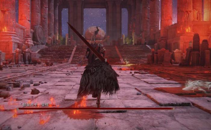 艾尔登法环双持武器怎么一起用_艾尔登法环什么类型