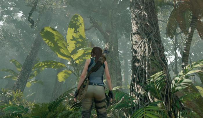 古墓丽影秘鲁从林怎么过2