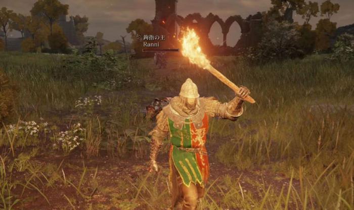 艾尔登法环流浪骑士怎么加点3