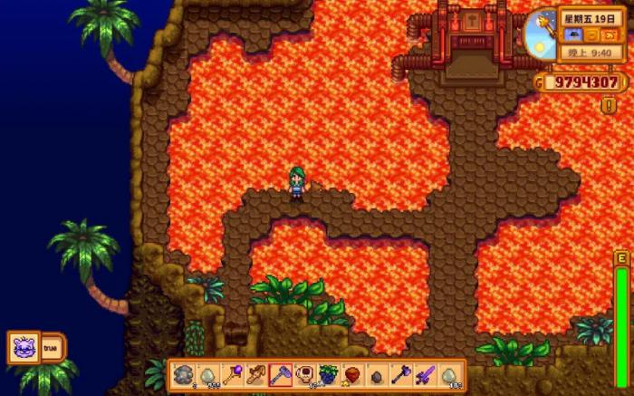 星露谷物语姜岛能干什么1