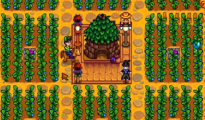 星露谷物语种什么升级快_星露谷物语怎么存放物品