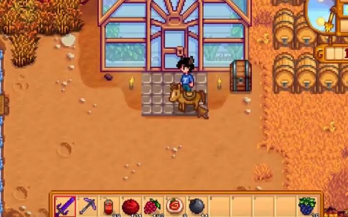 星露谷物语海莉九星任务有哪些3