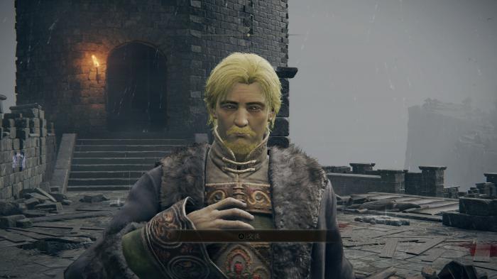 艾尔登法环人物强度排行_艾尔登法环什么类型