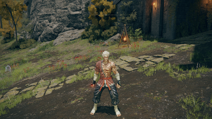 艾尔登法环人物强度排行3