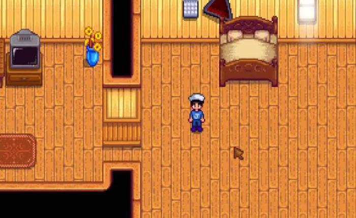 星露谷物语海莉一般在哪_星露谷物语海莉一般出现在哪