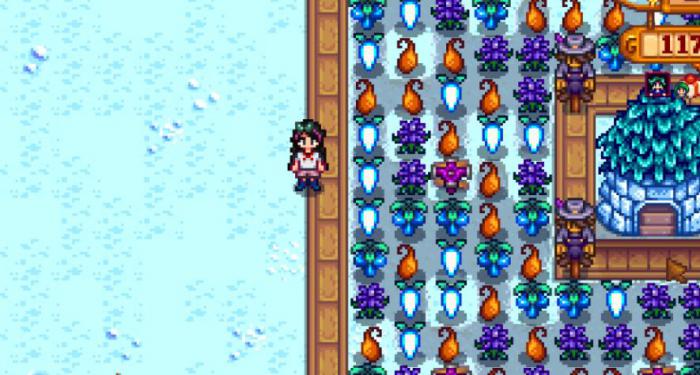 星露谷物语高级任务怎么完成_星露谷物语攻略网