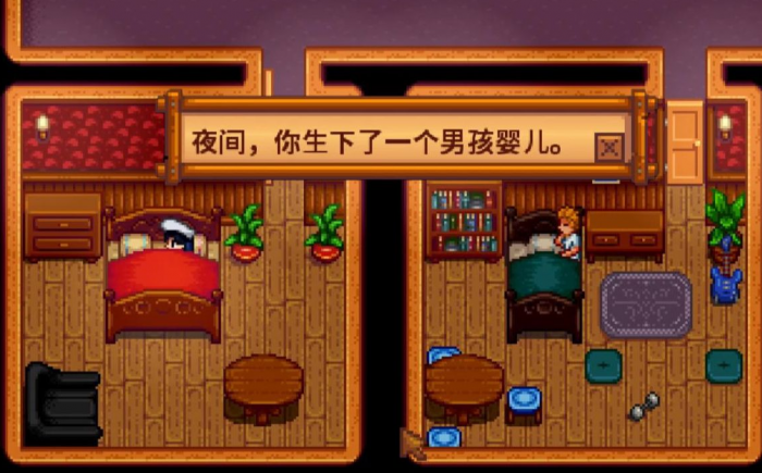 星露谷物语婚后怎么生孩子1