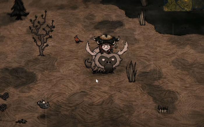 饥荒单机版春季应该做什么2