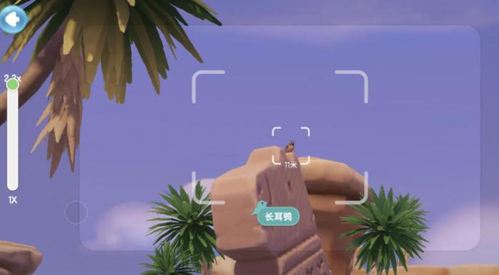 心动小镇观鸟爱好怎么解锁2