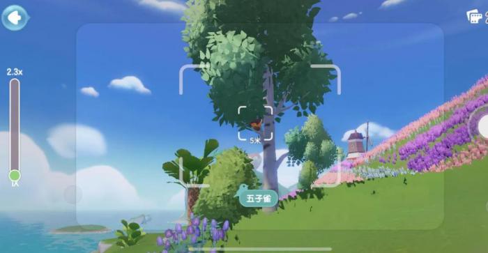 心动小镇观鸟爱好怎么解锁3