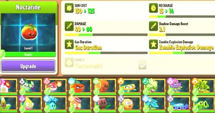 植物大战僵尸2夜影油桃怎么样1