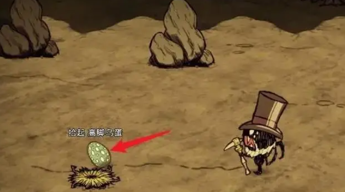 饥荒高脚鸟蛋有什么用_饥荒高脚鸟蛋多久刷新