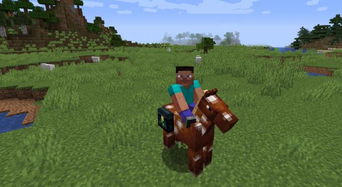 我的世界如何驯服马1