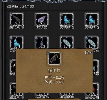 地下城堡2战利品怎么选择2