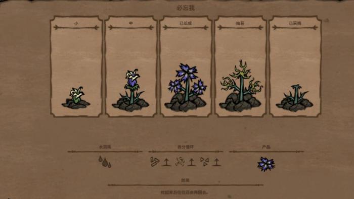 饥荒联机版杂草有什么作用1