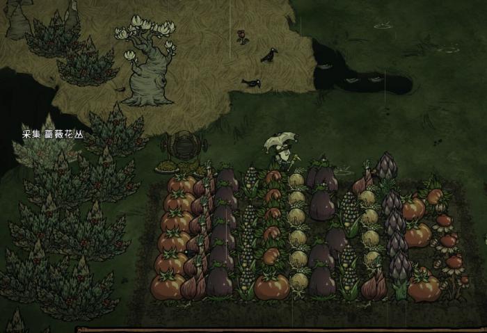 饥荒联机版哪些情况会让作物产生压力1